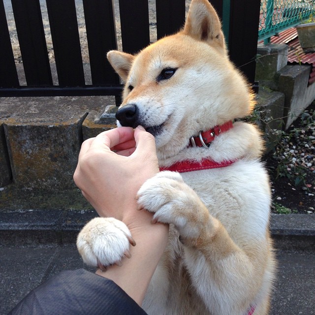 《回顾经典：历史上最具影响力的电竞决赛》，历史电竞奖金排行