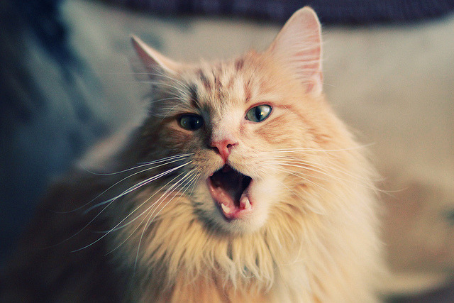 _虚拟运动会:未来体育的全民狂欢_,虚拟运动的坏处