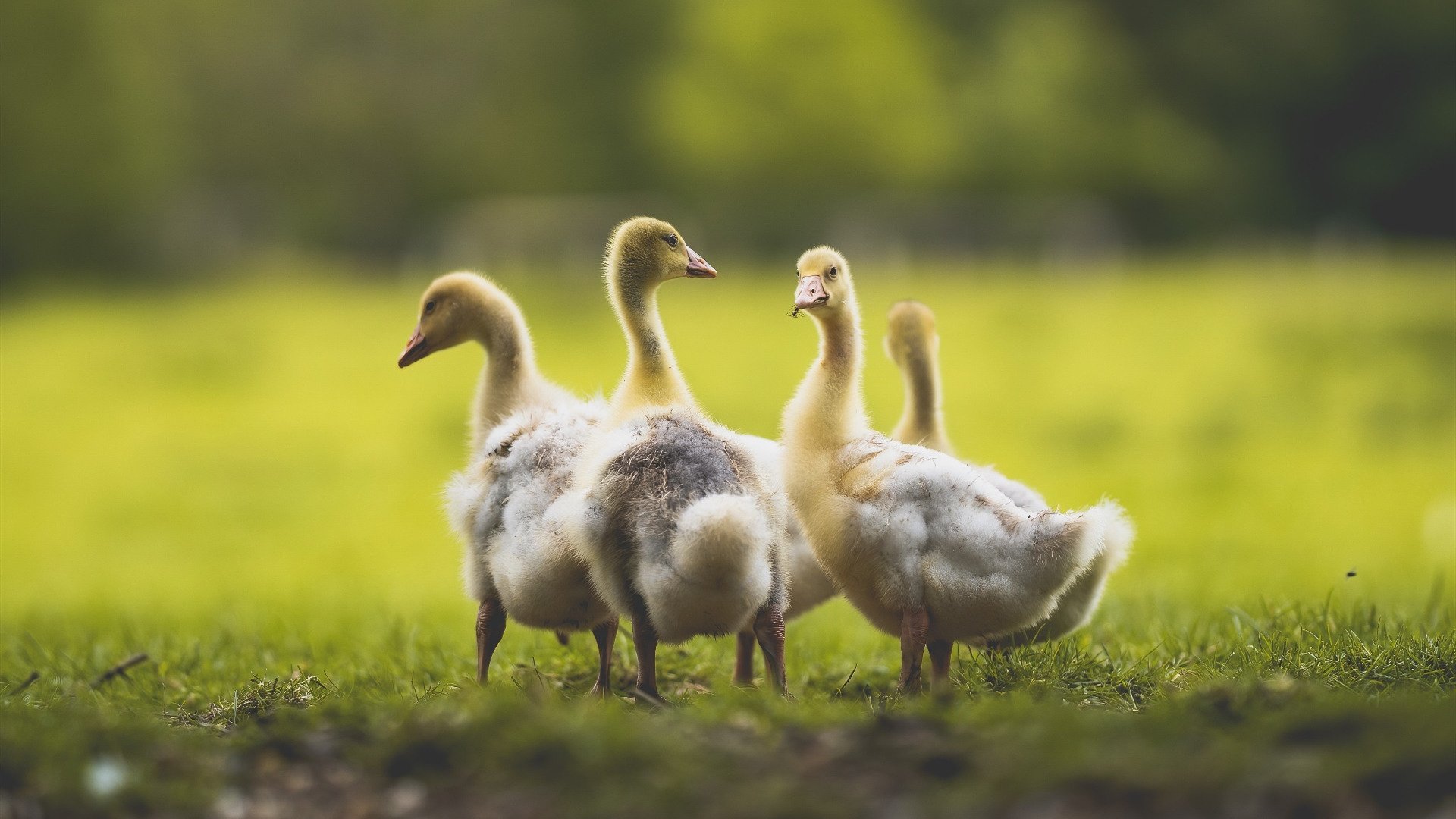 《科幻风十足：未来电竞场馆设计前瞻》，电竞场馆发展