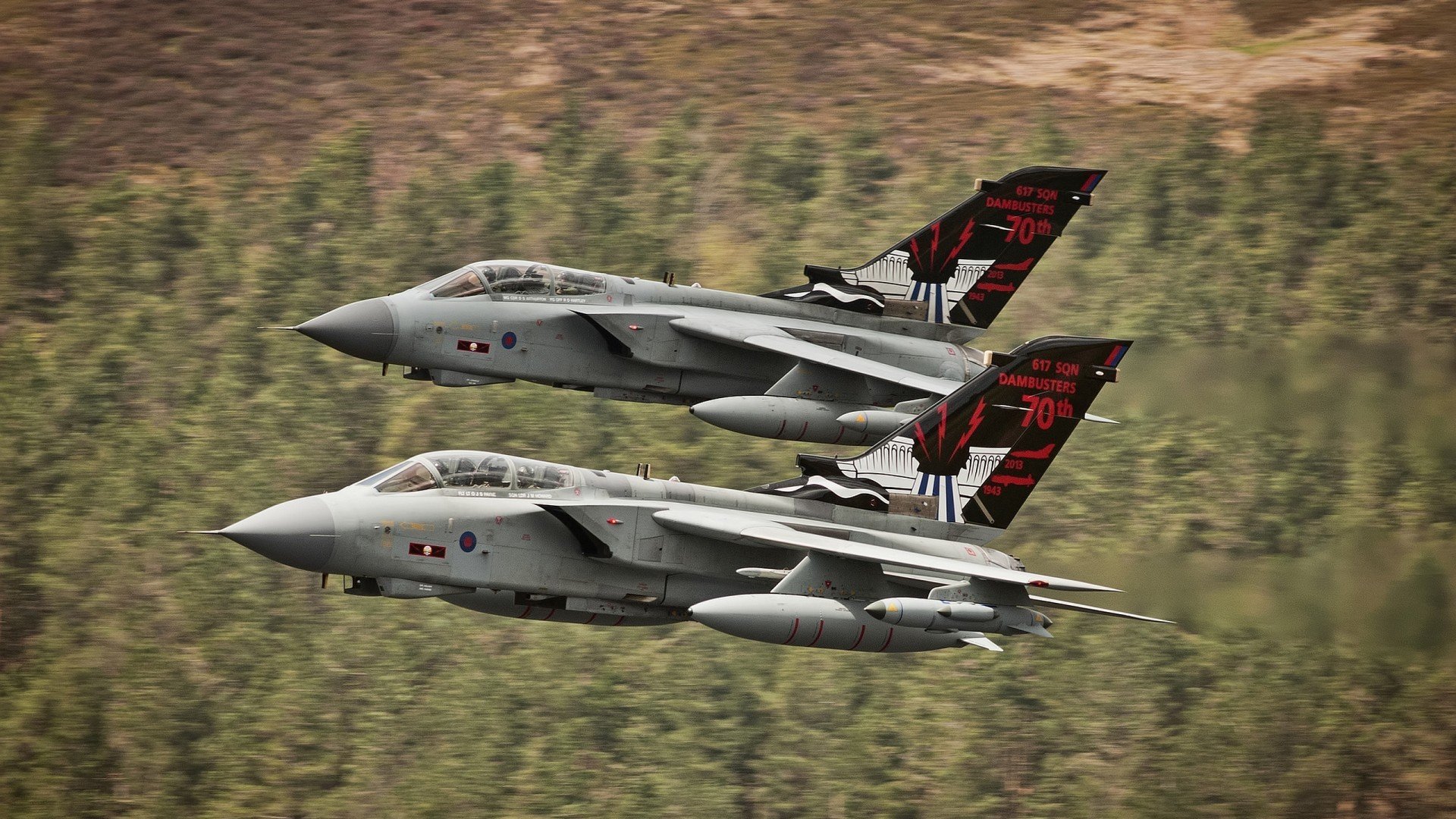 世界短道速滑锦标赛创新技术应用,助推比赛公平,世界短道速滑比赛视频