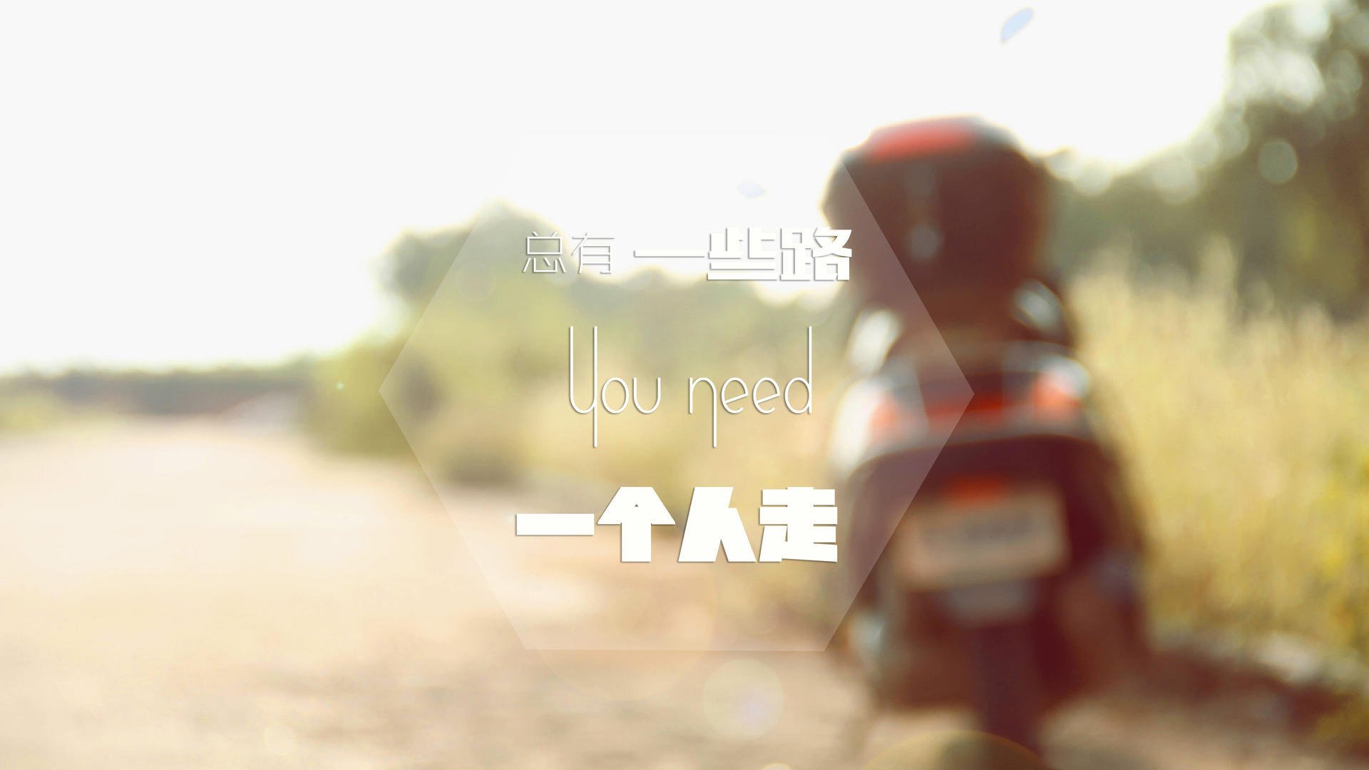 中国跳水队包揽8枚金牌,创历史新高,中国跳水队金牌榜